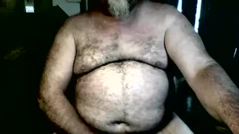 silverdadbod2026 online show from 10, 4, 2026