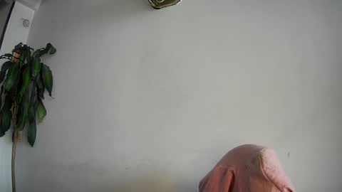 Silvie online show from 15, 2, 2025