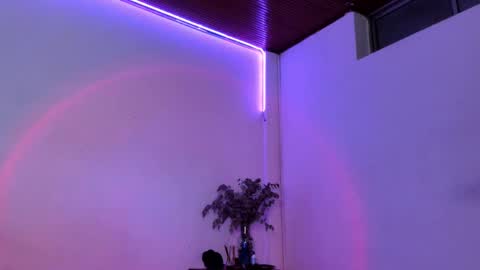 Simn online show from 15, 2, 2025