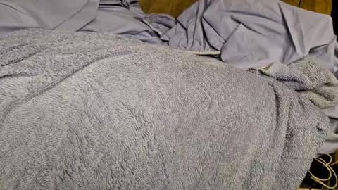 Snapshot of sinseason chatting on 3, 12, 2024 Sinseason online show from 3, 12, 2024