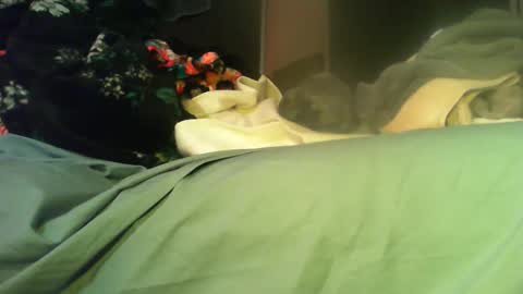 Snapshot of sinseason chatting on 11, 11, 2025 Sinseason online show from 11, 11, 2025