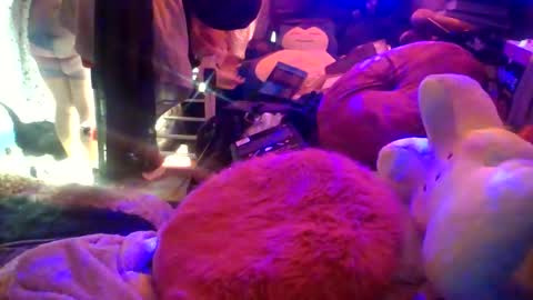 Siofra online show from 16, 3, 2026