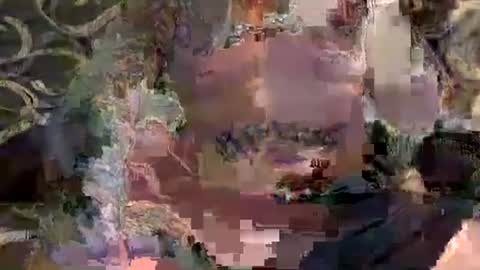 Steve   Jane online show from 21, 2, 2026