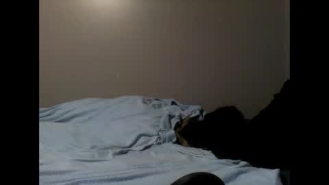 skeeter4fun73 online show from 17, 1, 2025