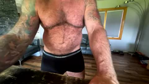BEEF online show from 17, 7, 2026