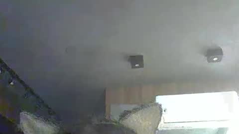 skinnykittencam online show from 1, 12, 2025