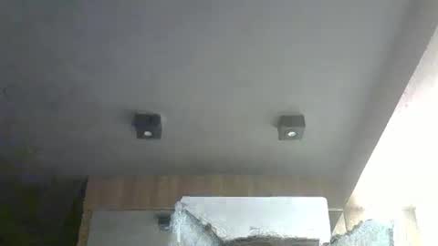 skinnykittencam online show from 6, 1, 2026