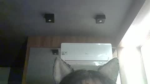 skinnykittencam online show from 11, 1, 2026