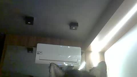 skinnykittencam online show from 11, 1, 2026