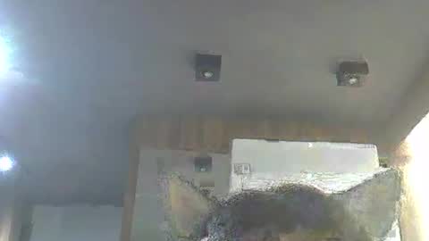 skinnykittencam online show from 13, 1, 2026