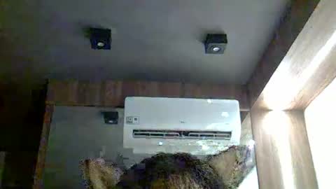 skinnykittencam online show from 14, 1, 2026