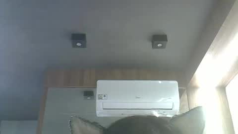 skinnykittencam online show from 15, 1, 2026