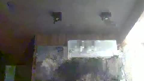 skinnykittencam online show from 17, 1, 2026