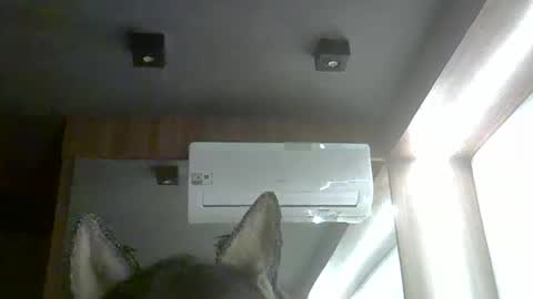 skinnykittencam online show from 5, 2, 2026