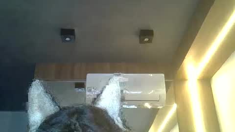 skinnykittencam online show from 8, 2, 2026