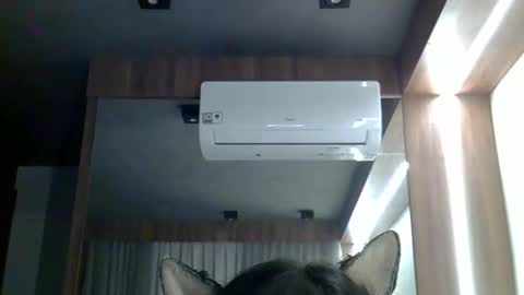 skinnykittencam online show from 11, 2, 2026