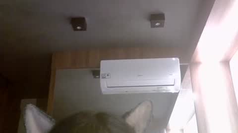 skinnykittencam online show from 23, 2, 2026