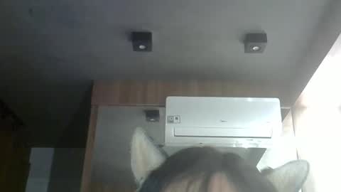 skinnykittencam online show from 28, 2, 2026