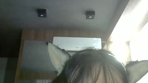 skinnykittencam online show from 28, 2, 2026