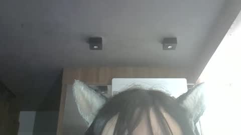 skinnykittencam online show from 11, 3, 2026