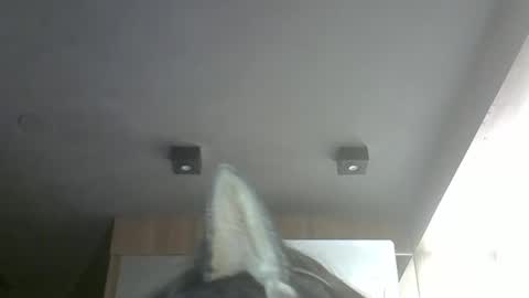 skinnykittencam online show from 22, 3, 2026