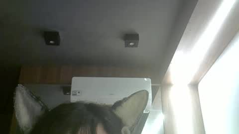 skinnykittencam online show from 27, 3, 2026