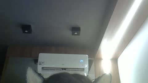 skinnykittencam online show from 8, 4, 2026