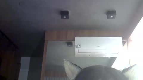 skinnykittencam online show from 30, 5, 2026