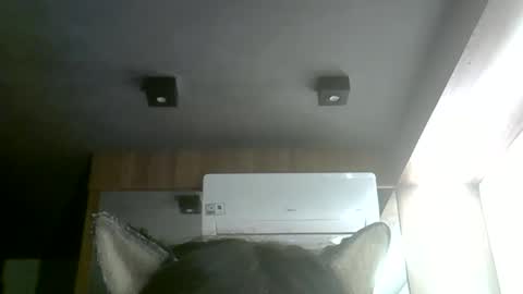skinnykittencam online show from 1, 6, 2026