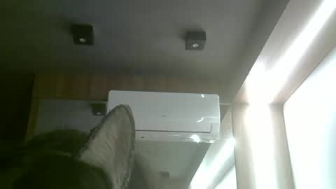 skinnykittencam online show from 3, 6, 2026