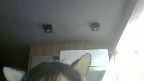 skinnykittencam online show from 27, 6, 2026