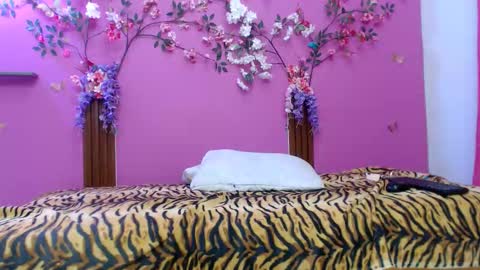 sofia online show from 24, 2, 2026