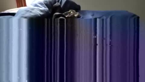 slappincheeks299 online show from 28, 10, 2025