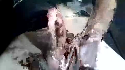 Snapshot of slash1710 chatting on 2, 11, 2025 Z online show from 2, 11, 2025