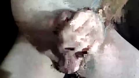 Snapshot of slash1710 chatting on 2, 12, 2025 Z online show from 2, 12, 2025