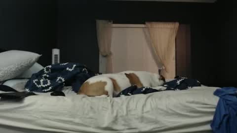 Snapshot of slimjp chatting on 7, 2, 2026 slimjp online show from 7, 2, 2026