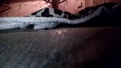 Snapshot of slurryyy chatting on 29, 3, 2026 slurryyy online show from 29, 3, 2026