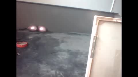 Snapshot of slutviki chatting on 15, 2, 2026 slutviki online show from 15, 2, 2026