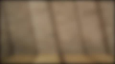 slvbcn75 online show from 28, 12, 2024