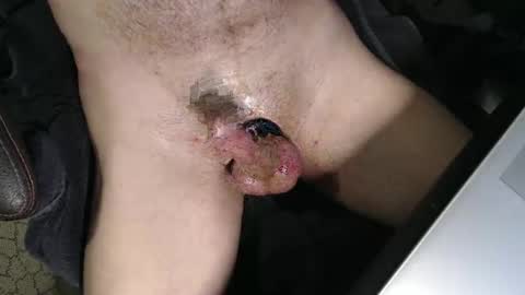 slyfast1 online show from 3, 4, 2026