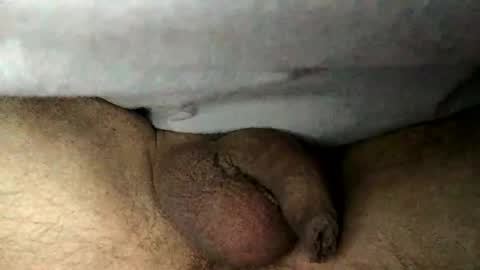 Snapshot of sm_bernd chatting on 17, 1, 2026 Bernd online show from 17, 1, 2026