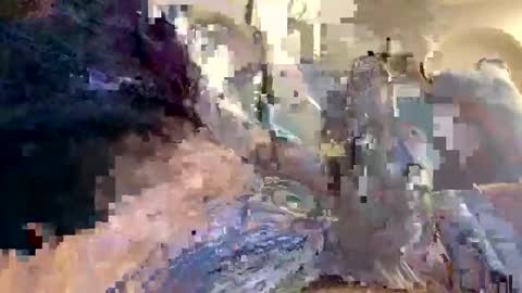 Snapshot of smokingdank chatting on 18, 12, 2024 smokingdank online show from 18, 12, 2024
