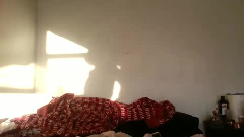 Snapshot of smoothvodka chatting on 22, 12, 2024 Bambi--Vodka online show from 22, 12, 2024