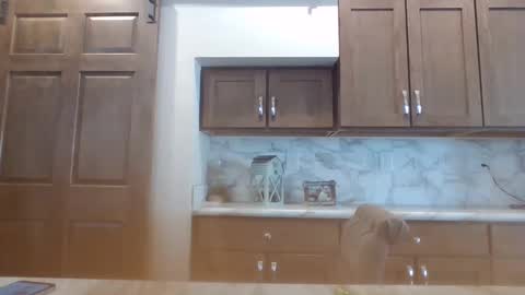 Snapshot of smoothvodka chatting on 30, 1, 2025 Bambi--Vodka online show from 30, 1, 2025