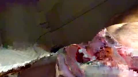 Snapshot of snooty05 chatting on 16, 1, 2025 Snooty online show from 16, 1, 2025