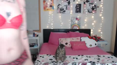 snow_money online show from 6, 3, 2025