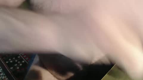 snudge432 online show from 4, 1, 2025