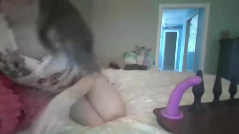 Snapshot of soaring_angel chatting on 30, 12, 2024 soaring_angel online show from 30, 12, 2024