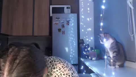 Sofi online show from 23, 10, 2025