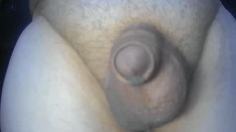 Snapshot of soft4you chatting on 1, 5, 2026 soft4you online show from 1, 5, 2026